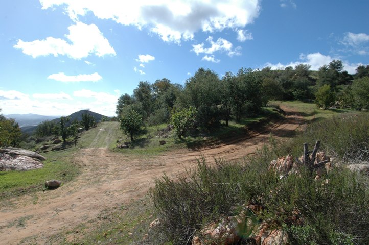 Easy Access to wide Cleared Trail System