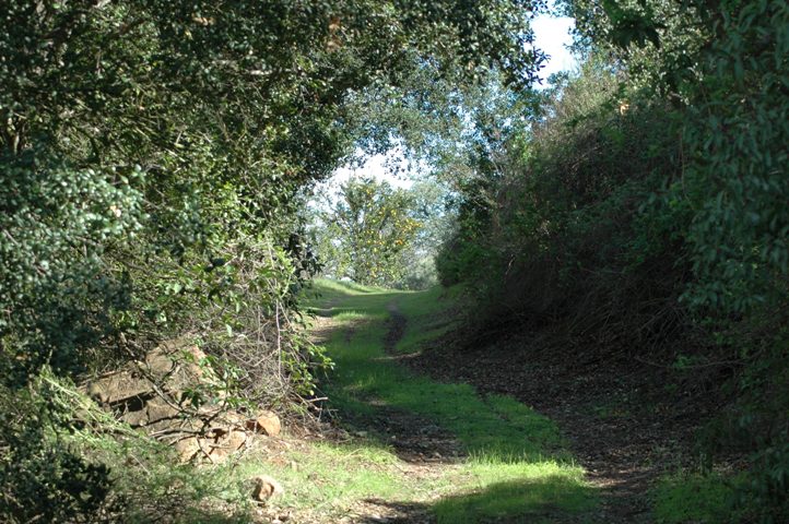 20+ Acres and Miles of Trails