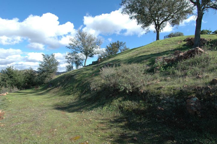 Bench at the top... Trail below... with bench