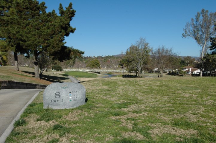 View from the Tee Box... toward the green