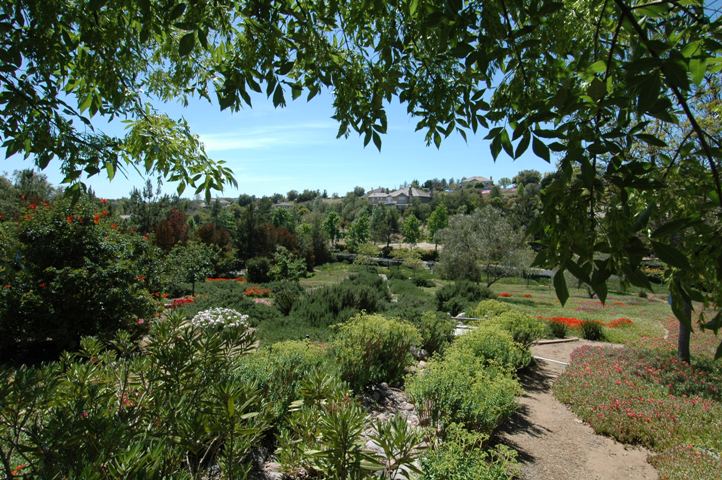 View of the Mediterranean Gardens