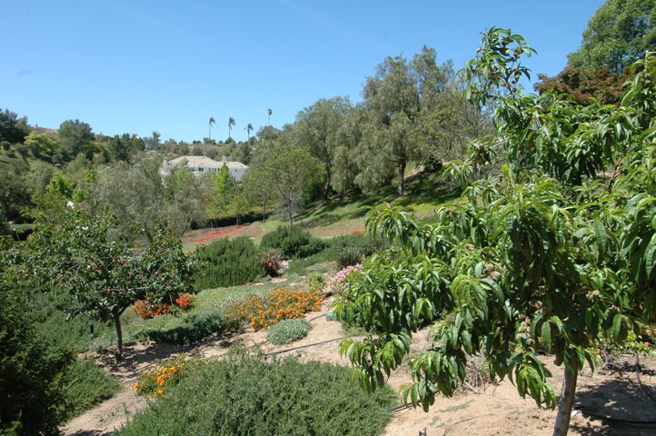 Fruit... Flowers... and Trails... 