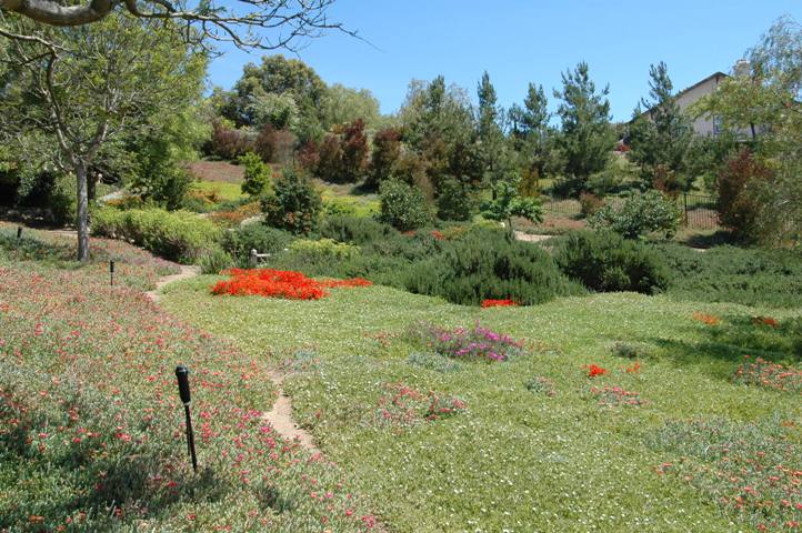 The lower level Mediterranean Gardens