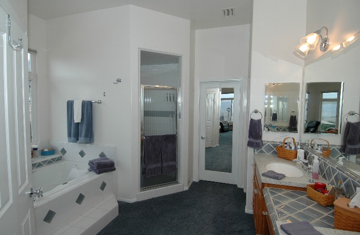 A Garden View Soaking tub... Party size Shower... and Room size walk-in...