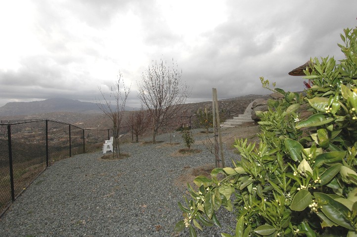 Lower level Orchard.... with nine varieties of fruit trees... yet all low maintenance...