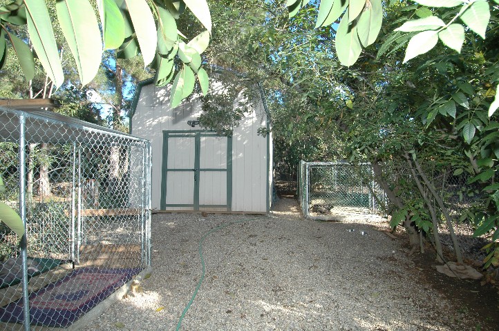 Finished and insulate Barn... and Dog runs... of course...