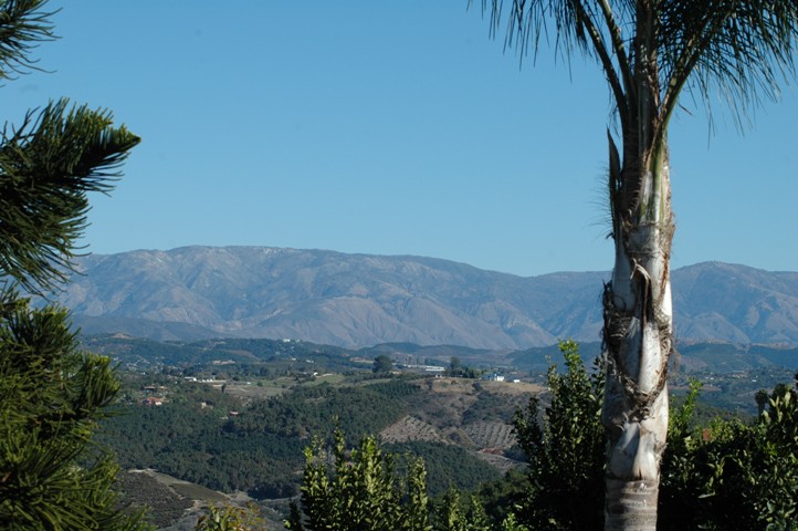 Bonsall Real Estate... with Palomar Mt. Vista