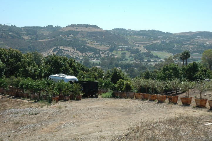 View of the lower pad... from the main building pad